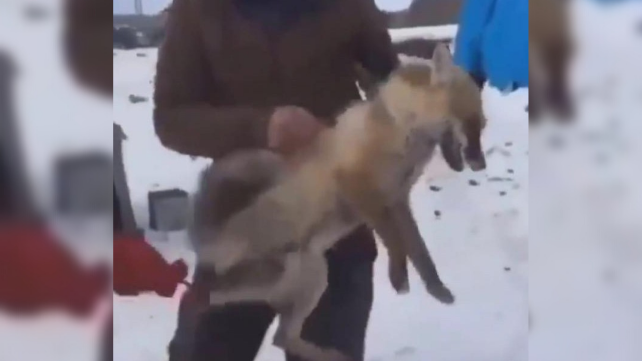 Tilkiye işkence yapanlara 26 bin lira para cezası verildi